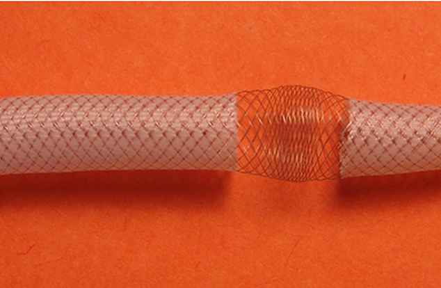 US BioDesign - Hybrid Construct